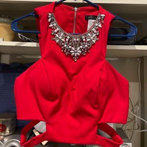 Alyce Paris Red Dress